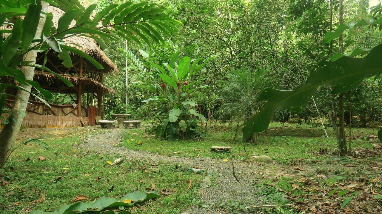 Bed and Breakfast Casa Moabi Cocles Exteriér fotografie