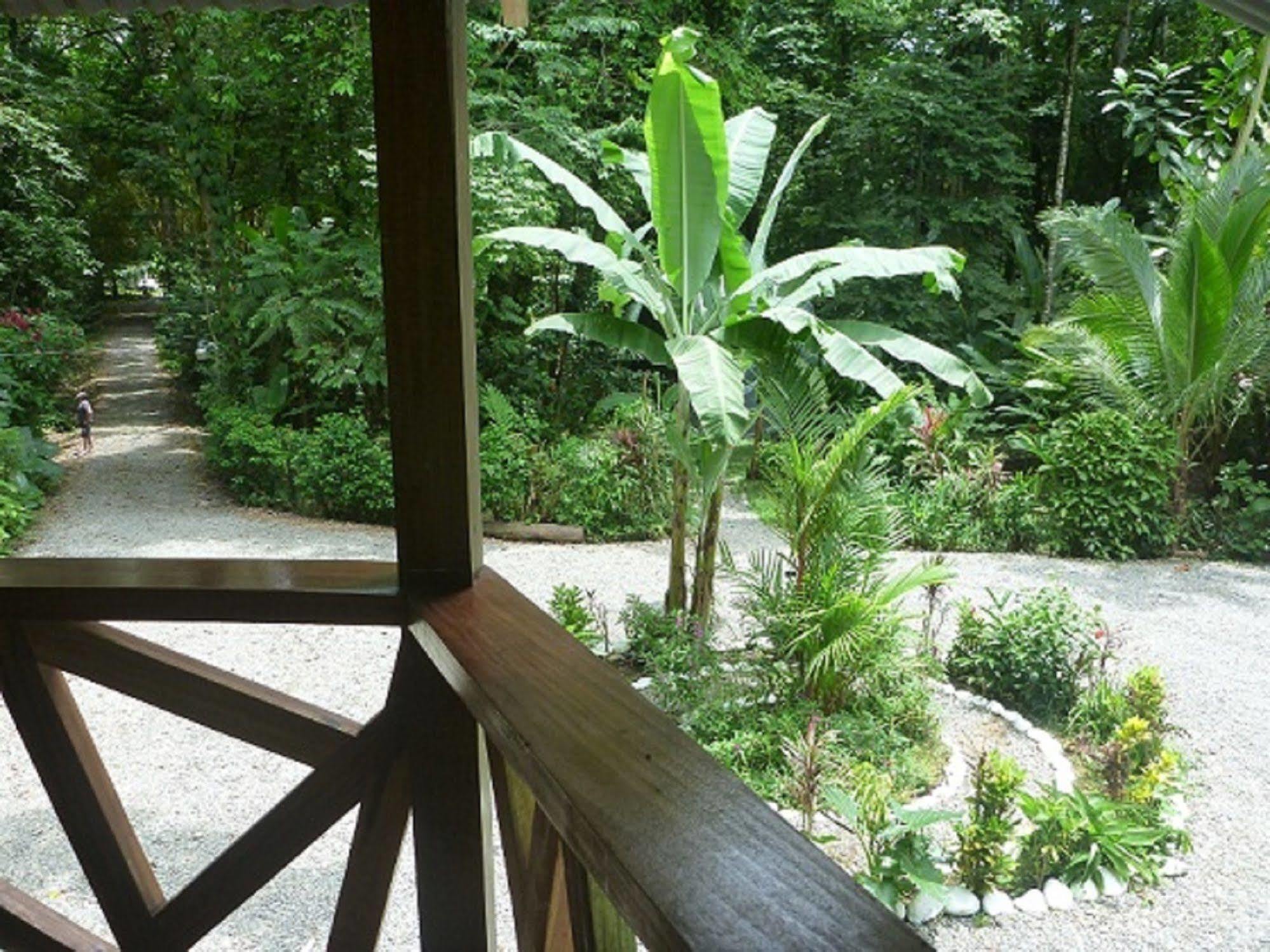 Bed and Breakfast Casa Moabi Cocles Exteriér fotografie