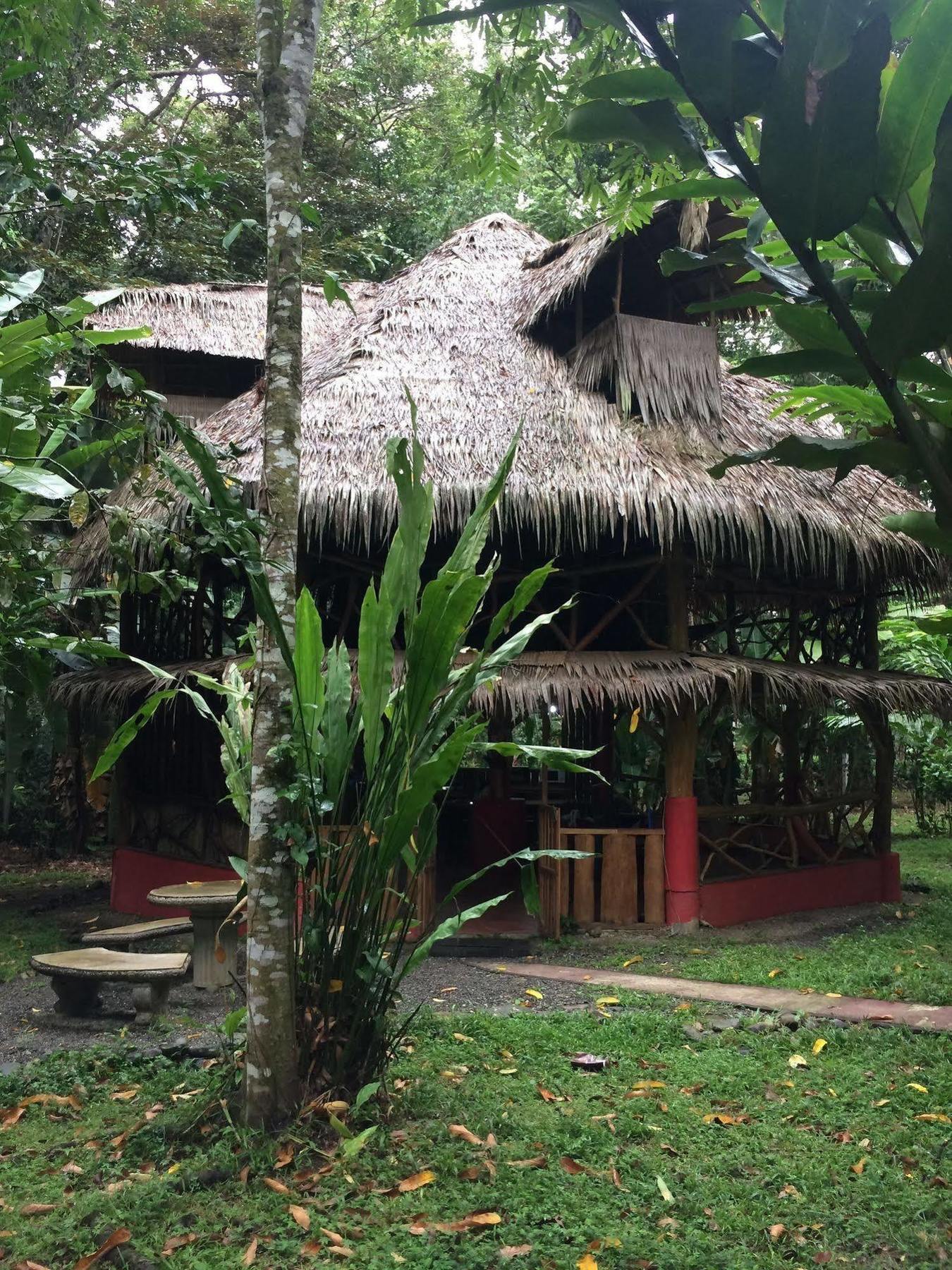 Bed and Breakfast Casa Moabi Cocles Exteriér fotografie