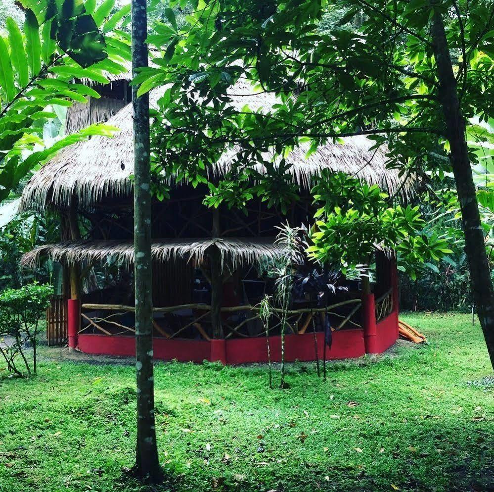 Bed and Breakfast Casa Moabi Cocles Exteriér fotografie